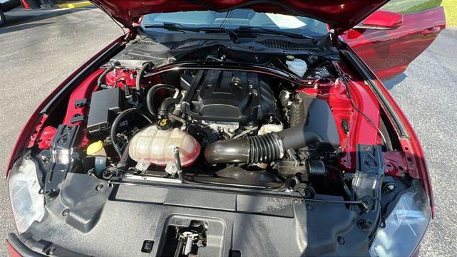 Photo of 2019 RUBY RED METALLIC TINTED CC Ford Mustang