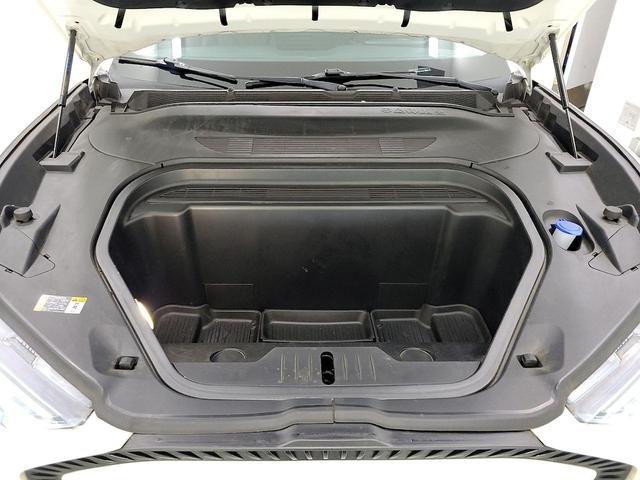 Photo of 2021 White Ford Mustang Mach-E