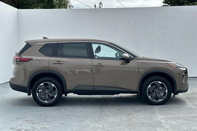 Photo of 2024 Baja Storm Nissan Rogue