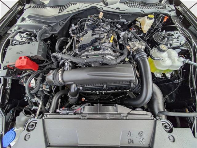 Photo of 2025 Shadow Black Ford Mustang