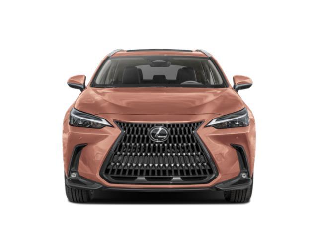 Photo of 2025 01l1 Cloudburst Lexus NX 350