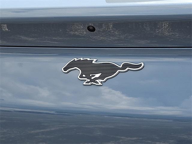 Photo of 2024 Vapor Blue Ford Mustang Mach-E