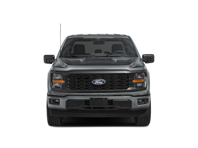 Photo of 2024 Avalanche Gray Ford F-150