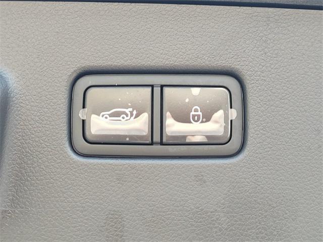Photo of 2024 Vik Black Genesis GV60