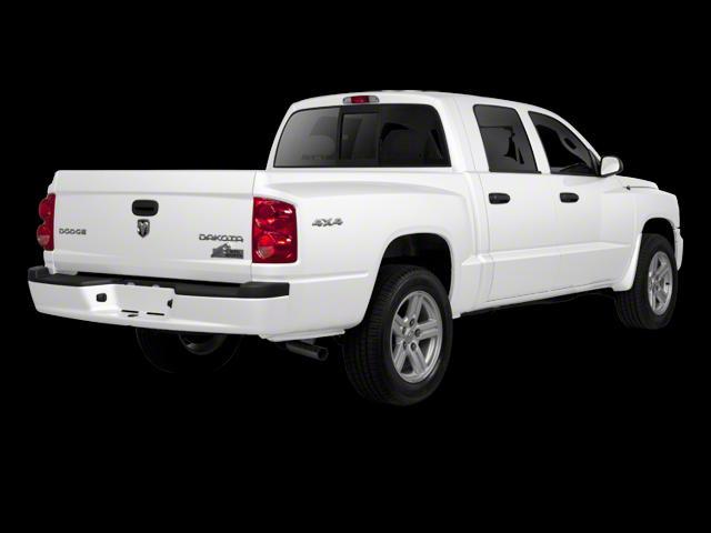 Photo of 2010 Bright White Clearcoat Dodge Dakota