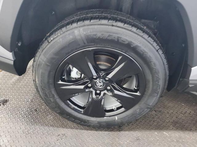 Photo of 2019 Silver Sky Metallic Toyota RAV4