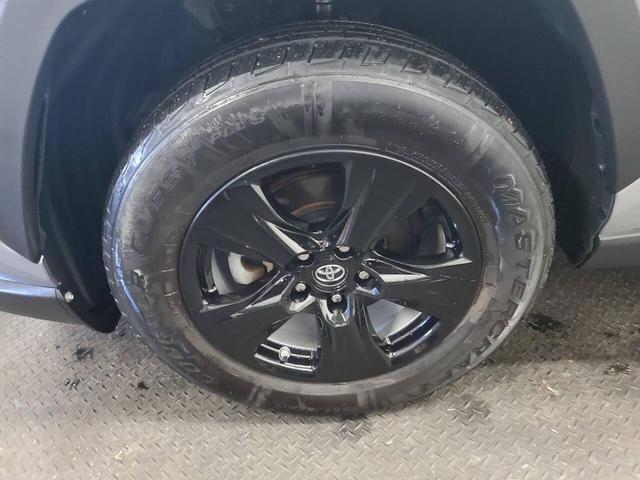 Photo of 2019 Silver Sky Metallic Toyota RAV4