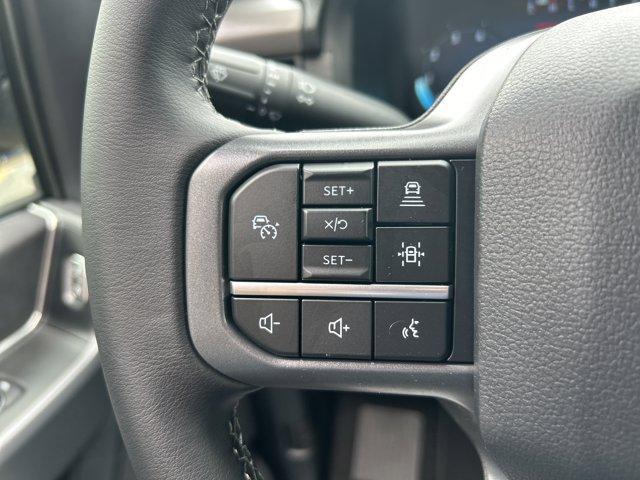 Photo of 2025 Blue Metallic Ford F-150