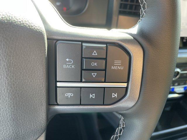 Photo of 2025 Gray Metallic Ford F-350