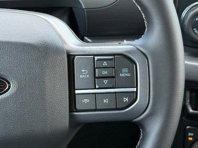 Photo of 2025 Black Ford F-150