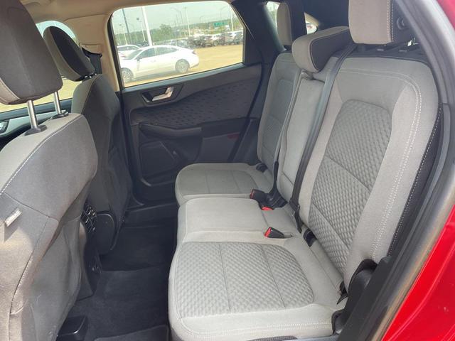 Photo of 2020 Rapid Red Metallic Tinted Clearcoat Ford Escape