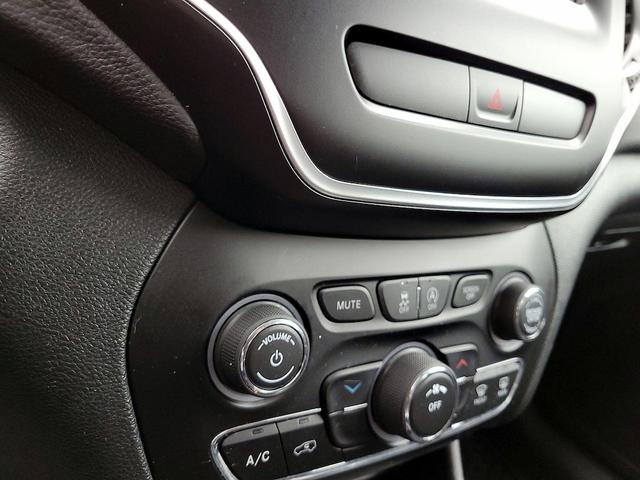 Photo of 2019 Green Jeep Cherokee