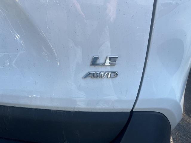 Photo of 2023 Ice Toyota RAV4