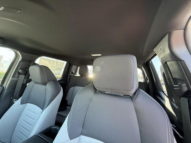 Photo of 2025 Green Toyota Tacoma