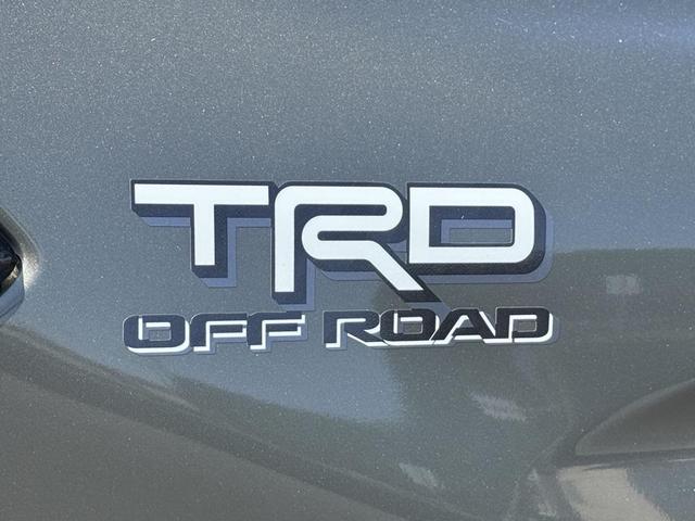 Photo of 2025 Green Toyota Tacoma