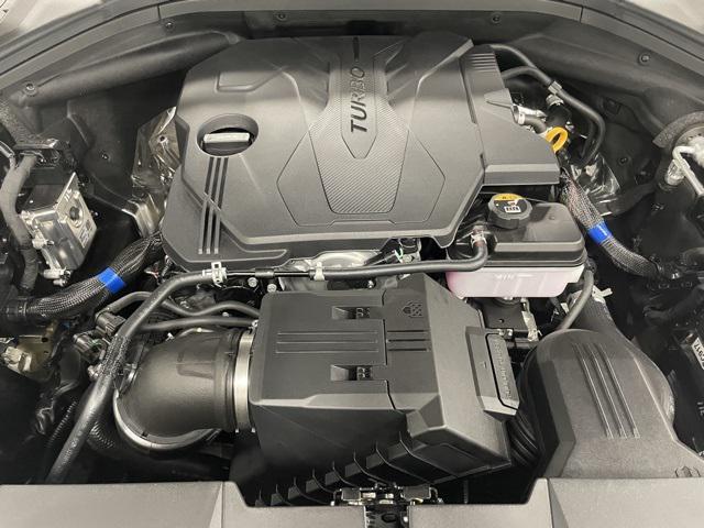 Photo of 2026 Vik Black Genesis GV70