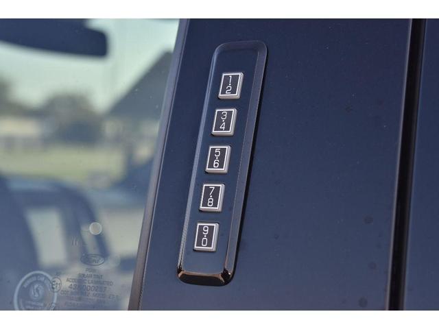 Photo of 2016 Blue Ford F-150