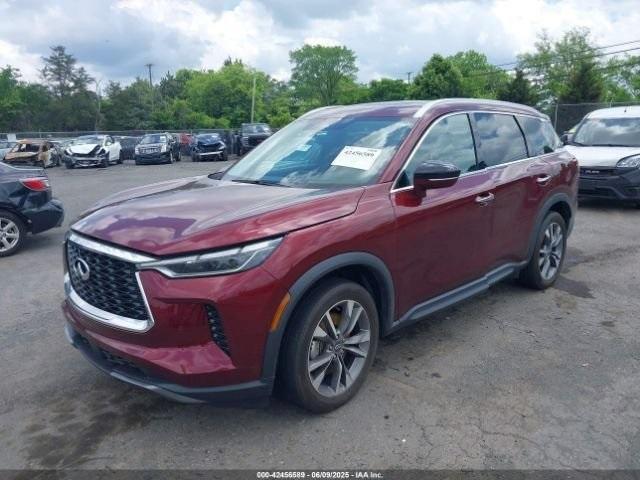 Photo of 2022 Deep Bordeaux INFINITI QX60