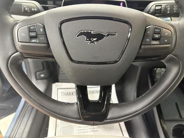 Photo of 2024 Vapor Blue Ford Mustang Mach-E