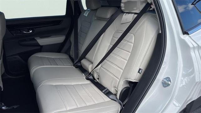 Photo of 2026  Honda CR-V