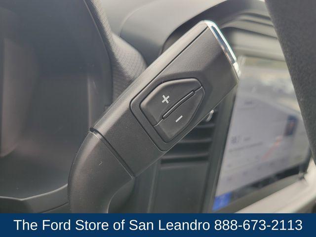 Photo of 2025 Carbonized Gray Metallic Ford F-150