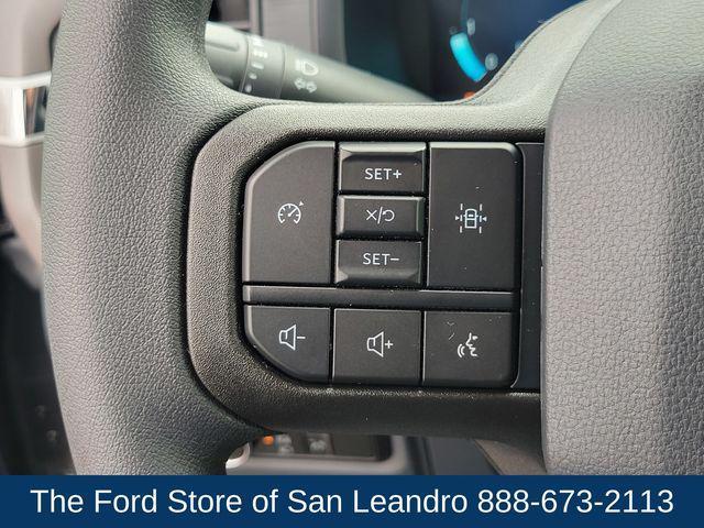 Photo of 2025 Carbonized Gray Metallic Ford F-150
