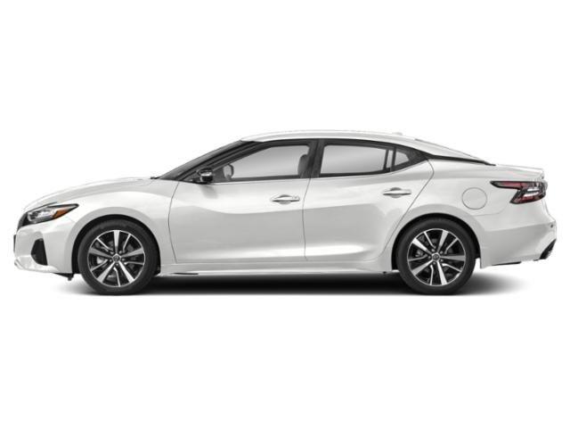 Photo of 2023 Pearl White Tricoat Nissan Maxima