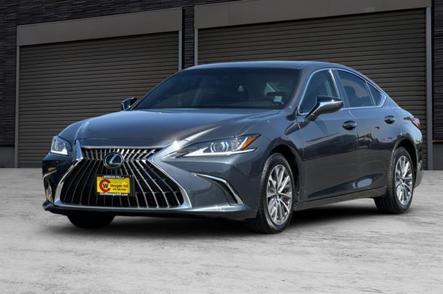 Photo of 2022 Cloudburst Gray Lexus ES 350