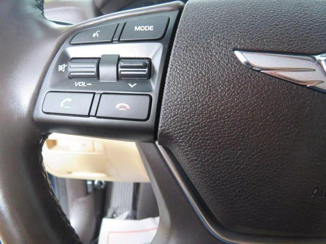 Photo of 2020 Blue Genesis G80