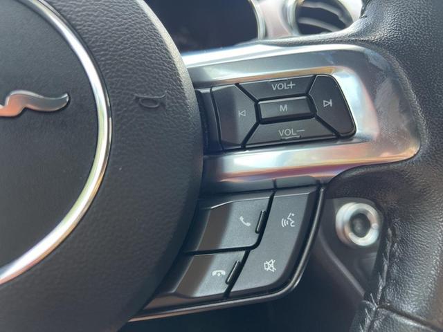 Photo of 2017 Magnetic Metallic Ford Mustang