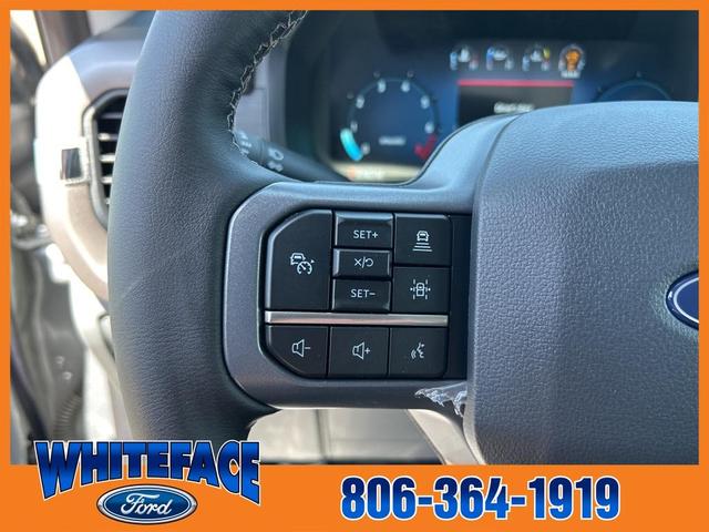 Photo of 2025 Silver Metallic Ford F-150