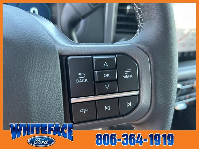 Photo of 2025 Silver Metallic Ford F-150