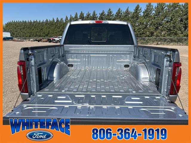 Photo of 2025 Silver Metallic Ford F-150