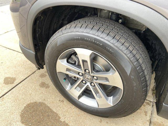 Photo of 2025 Gray Honda Pilot