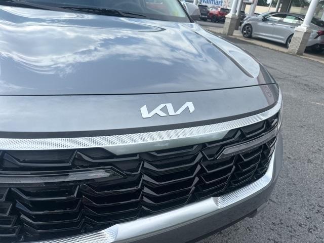Photo of 2025 Steel Gray Kia Seltos