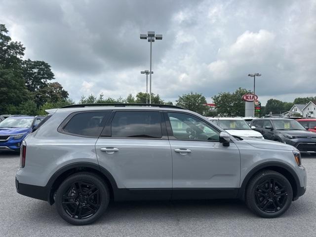 Photo of 2025 Wolf Gray Kia Telluride