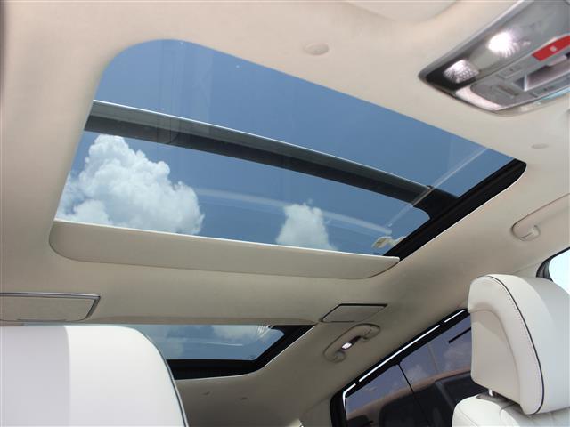 Photo of 2025 Vik Black Genesis GV80