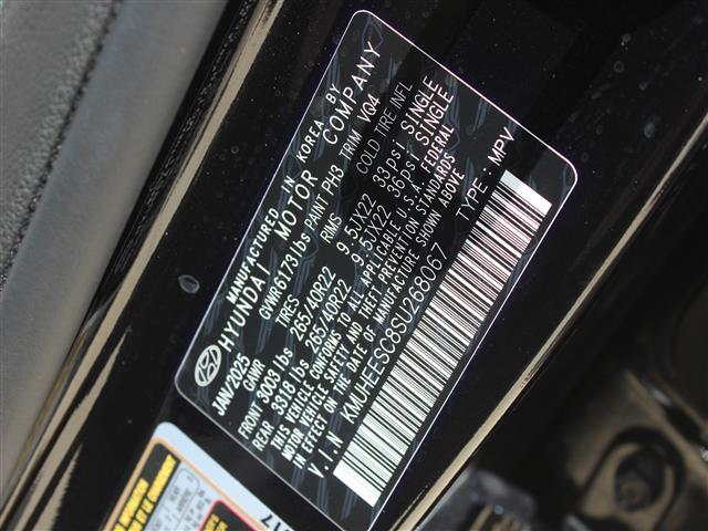 Photo of 2025 Vik Black Genesis GV80