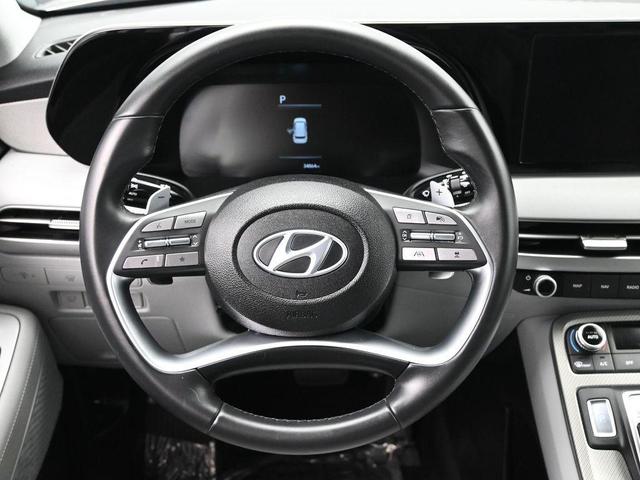Photo of 2024 Silver Hyundai PALISADE