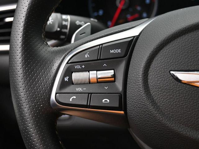 Photo of 2021 Himalayan Gray Genesis G70