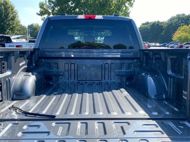 Photo of 2025 Gray Ford F-150 Lightning