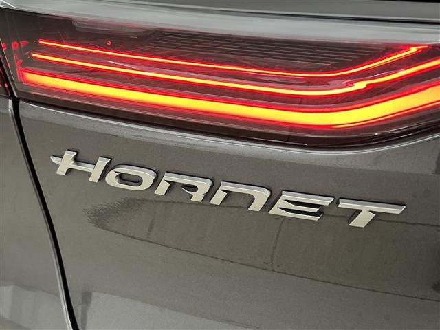 Photo of 2024 Gray Cray Dodge Hornet