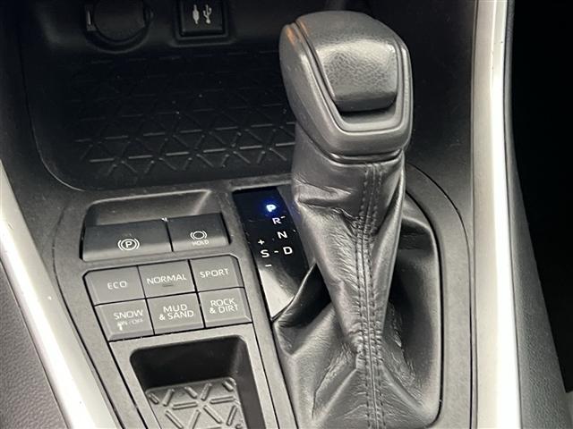 Photo of 2019 Ruby Flare Pearl Toyota RAV4