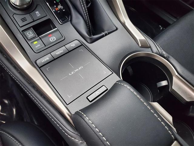 Photo of 2019 Nebula Gray Pearl Lexus NX 300