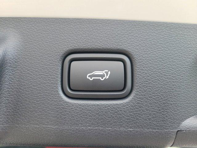 Photo of 2025 Hyper White Hyundai PALISADE