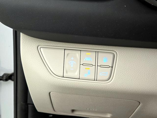 Photo of 2019 Blue Genesis G70