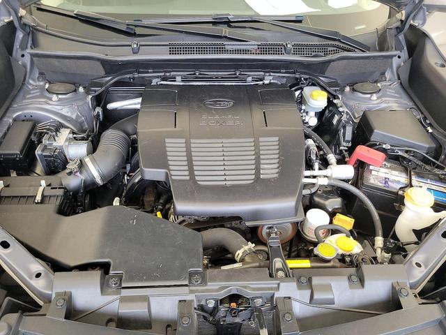 Photo of 2020 Brown Subaru Forester