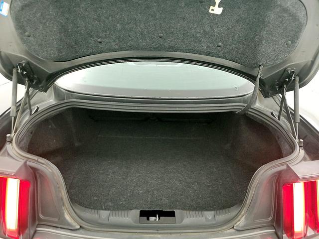 Photo of 2017 Gray Ford Mustang