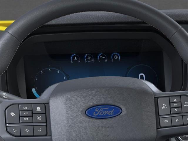 Photo of 2025 Carbonized Gray Ford F-150