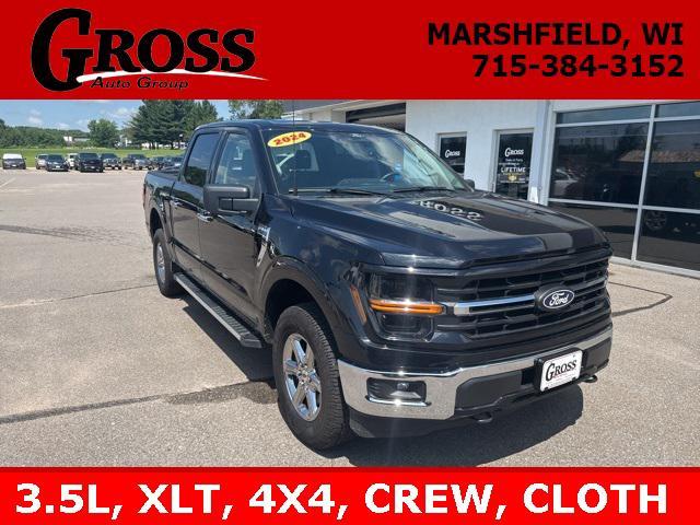 Photo of 2024 Agate Black Metallic Ford F-150